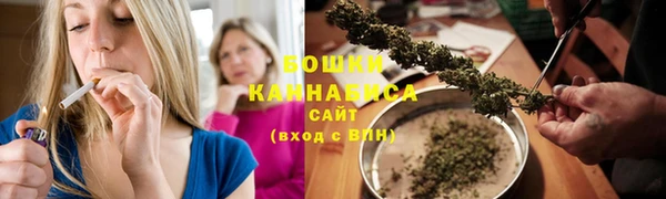 индика Новосибирск