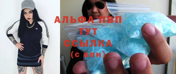 индика Новосибирск