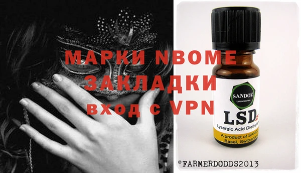 сатива Ессентукская
