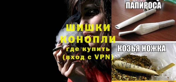 индика Новосибирск