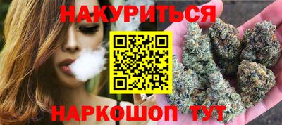 крисы Абакан