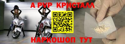 spice Кингисепп