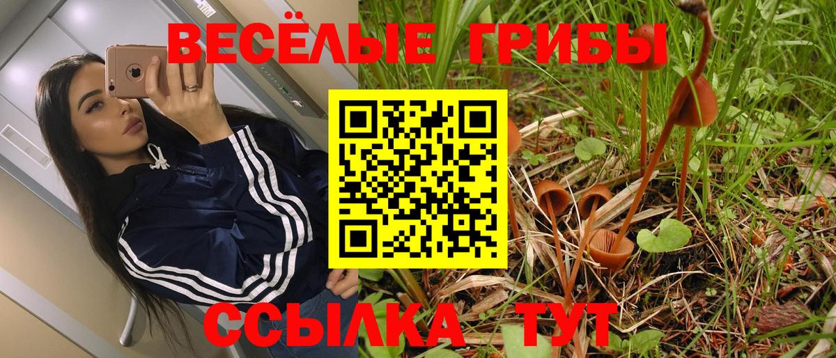 Химки  Галлюциногенные грибы мицелий  Вход с VPN  Псилоцибиновые грибы Psilocybe 